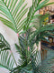 Plant / Greenery