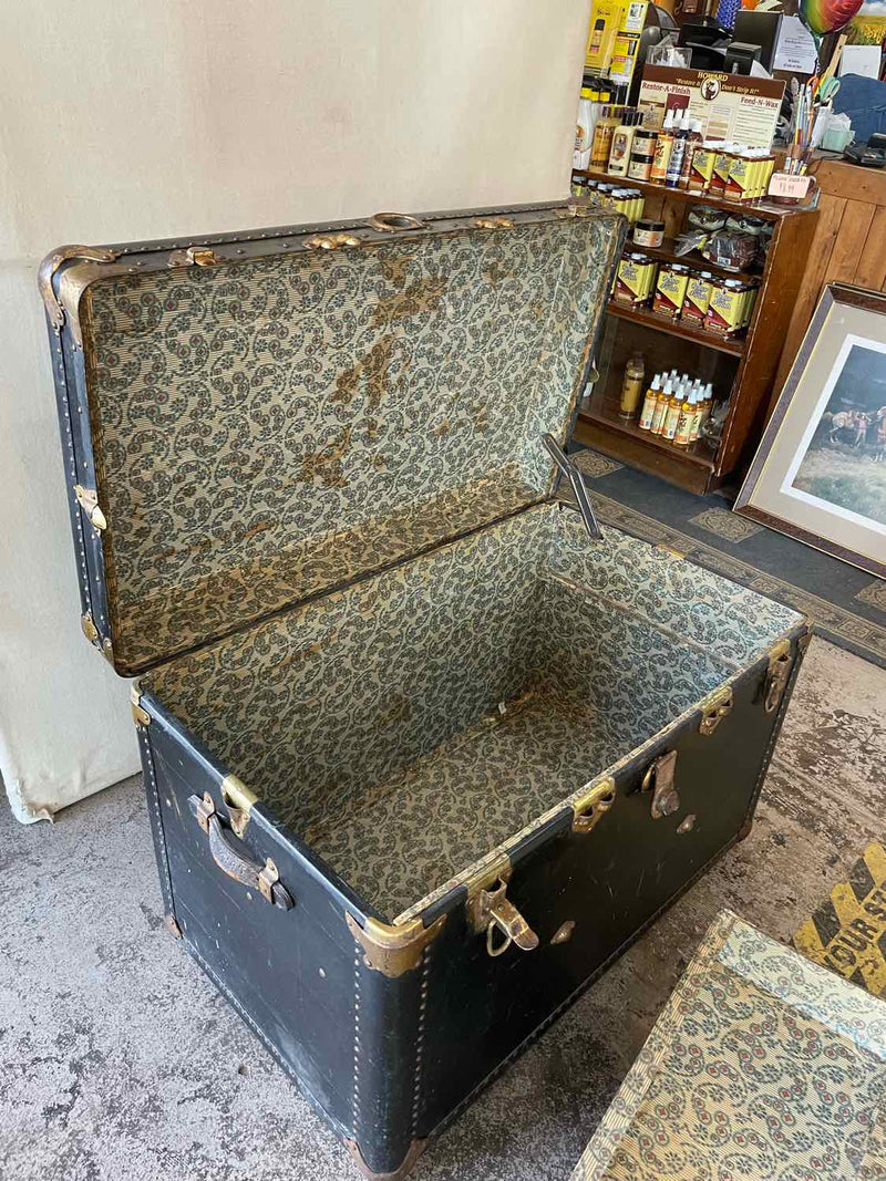 Trunk