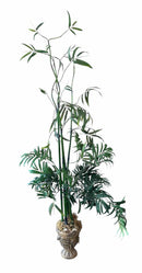 Plant / Greenery